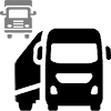 Professional driving license